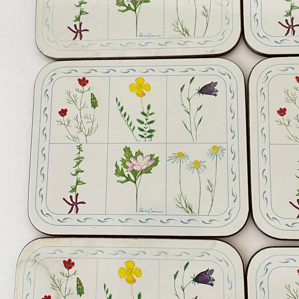 Vintage Jason Drink Coasters Flower Box Cork Backed Rectangle Set 6‎ New Zealand